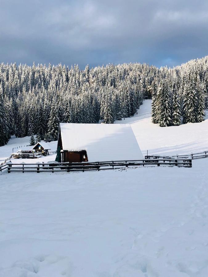 Cosy Chalet On Pokljuka - Brunarica Tinkara Zgornje Gorje Εξωτερικό φωτογραφία