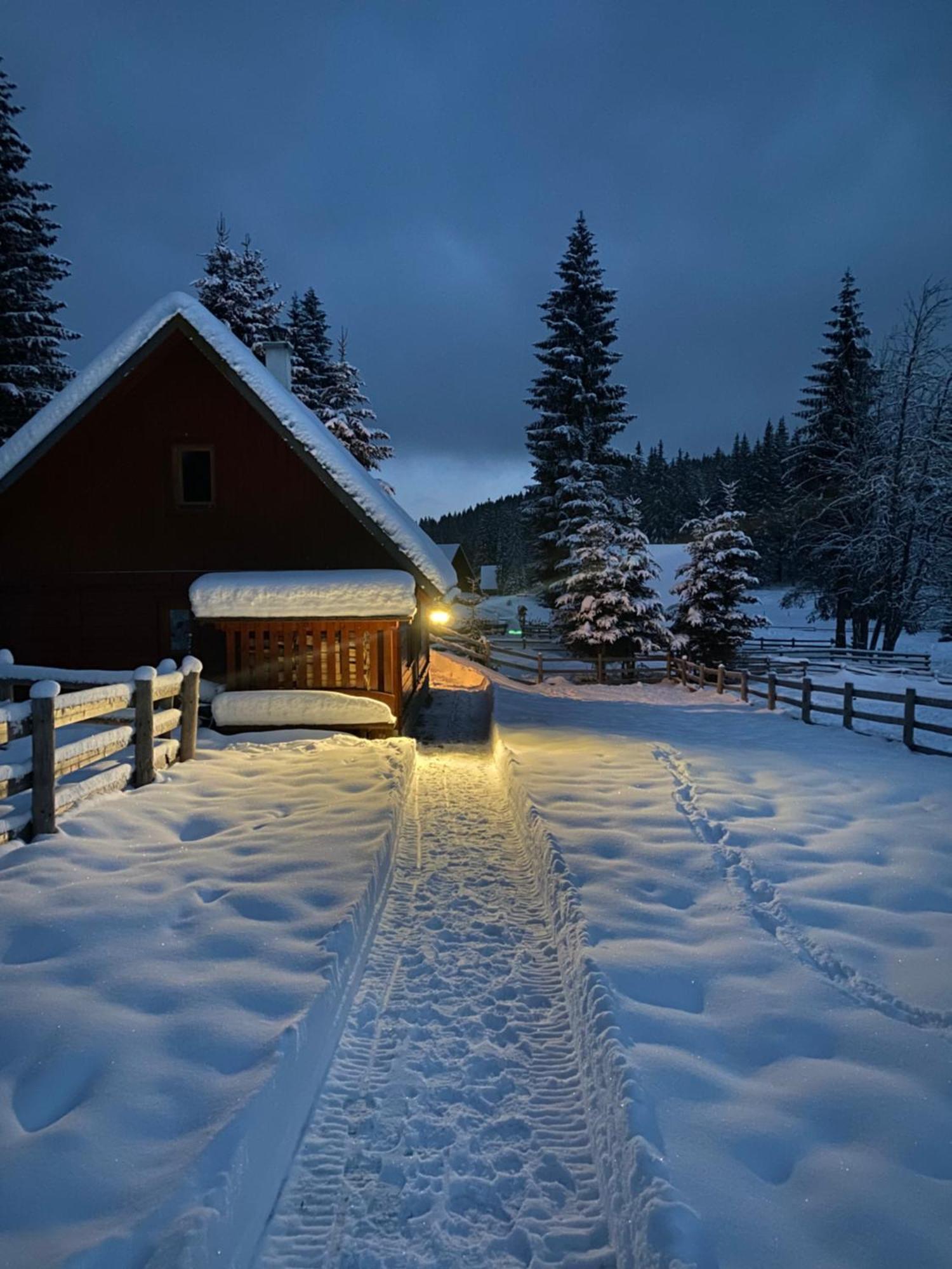 Cosy Chalet On Pokljuka - Brunarica Tinkara Zgornje Gorje Εξωτερικό φωτογραφία