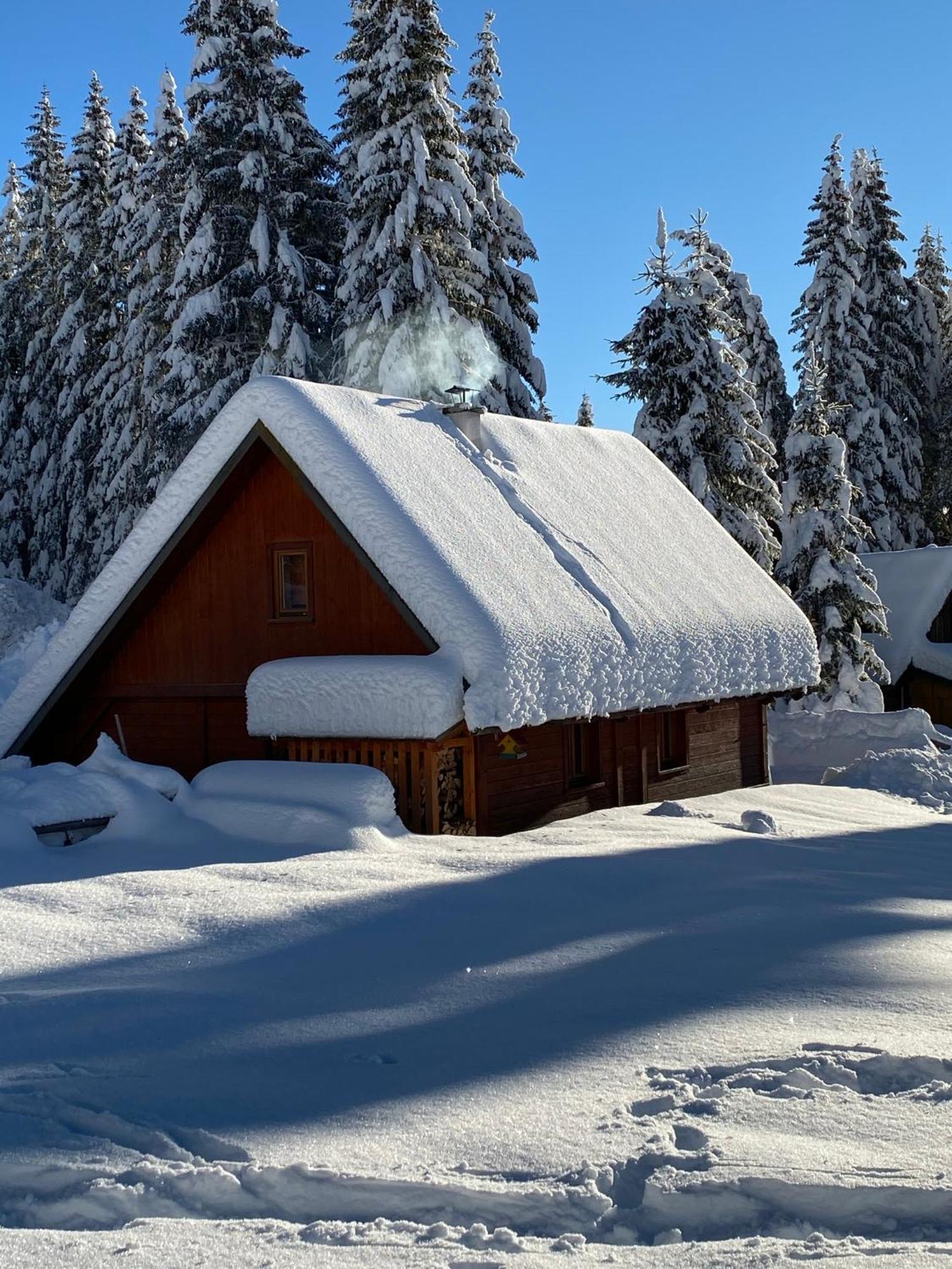 Cosy Chalet On Pokljuka - Brunarica Tinkara Zgornje Gorje Εξωτερικό φωτογραφία