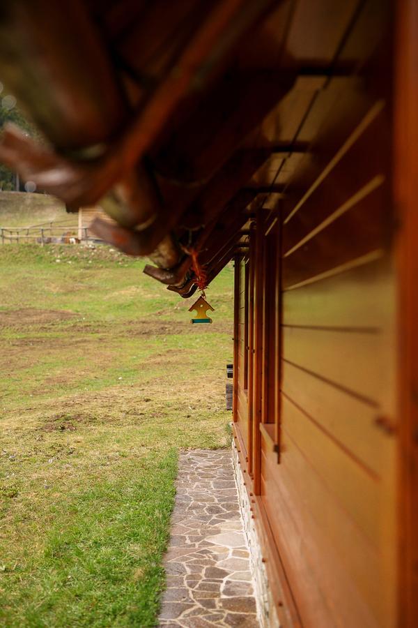 Cosy Chalet On Pokljuka - Brunarica Tinkara Zgornje Gorje Εξωτερικό φωτογραφία